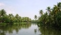 Alleppey Backwaters