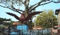 Guruvayoor Temple