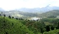 Munnar Kerala