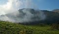 Munnar Kerala