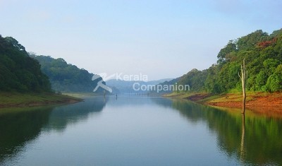 Periyar Thekkady Kerala