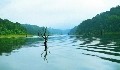 Periyar Thekkady Kerala