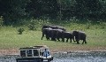 Periyar Thekkady Kerala