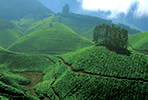 Munnar